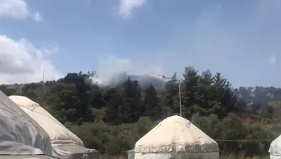 Hatay'da orman yangını