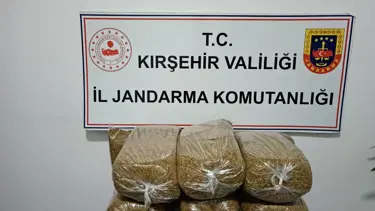 Yolcu otobüsünde 42 kilo kaçak tütün ele geçirildi
