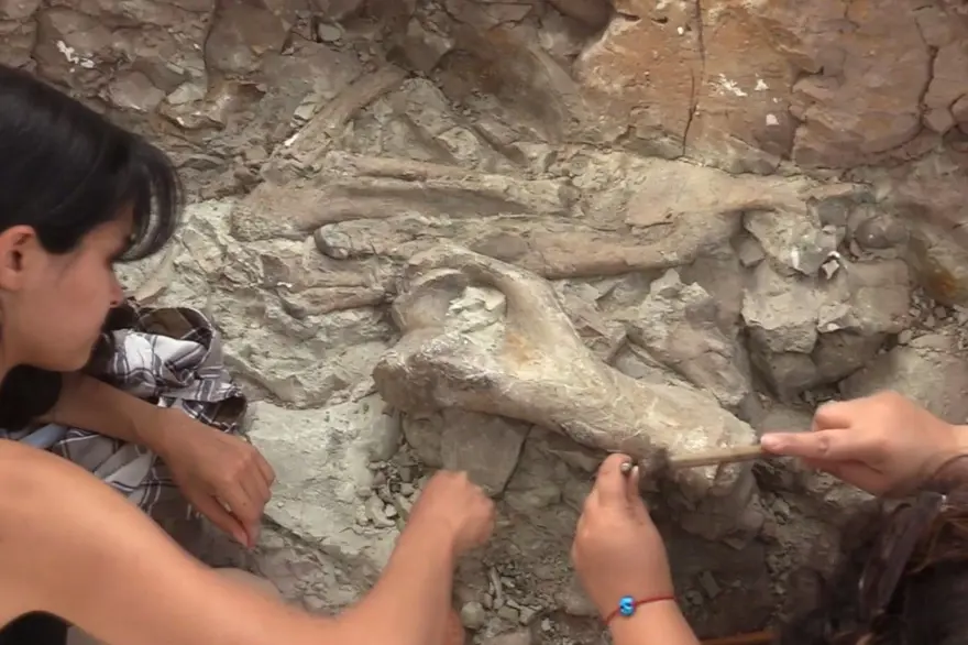 URANYUM-POTASYUM TARİHLENDİRMESİ 4