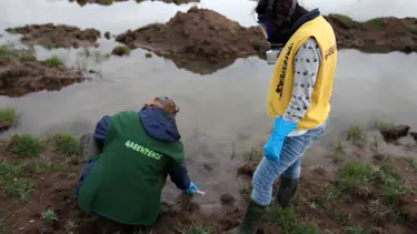 Siyanürden örnek aldılar