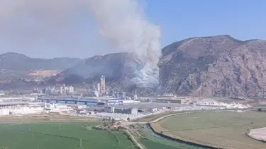 Söke’de orman yangını (15 hektar alan zarar gördü)