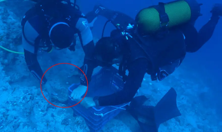 25'er kiloluk külçeler! Antalya'da dünyanın en eski batığında bulundu 5