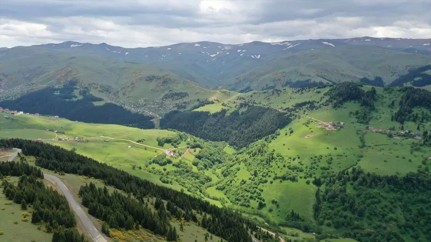 Alpler'i aratmıyor: Giresun'un 'oksijen deposu' Kümbet Yaylası 1 Alpler'i aratmıyor: Giresun'un 'oksijen deposu' Kümbet Yaylası 1