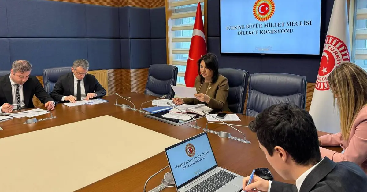 TBMM Dilekçe Komisyonu'na ilginç talepler. "İstanbul kışlık, Ankara yazlık başkent olsun"