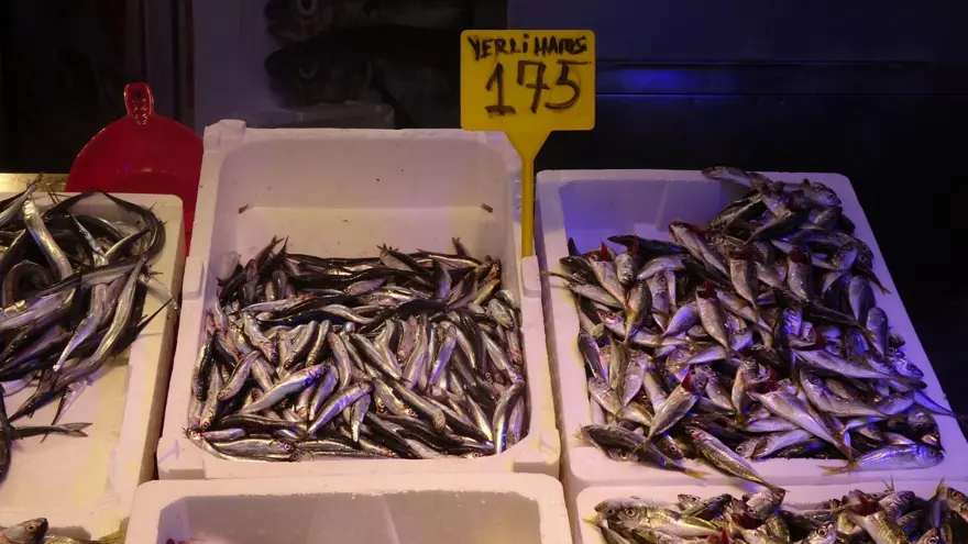 Havalar serinledi, tezgahta bolluk yaşanıyor: Tanesi 100 TL 2 Havalar serinledi, tezgahta bolluk yaşanıyor: Tanesi 100 TL 2