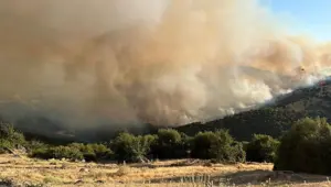 İki ildeki üç orman yangını kontrol altında