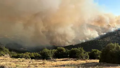 İki ildeki üç orman yangını kontrol altında