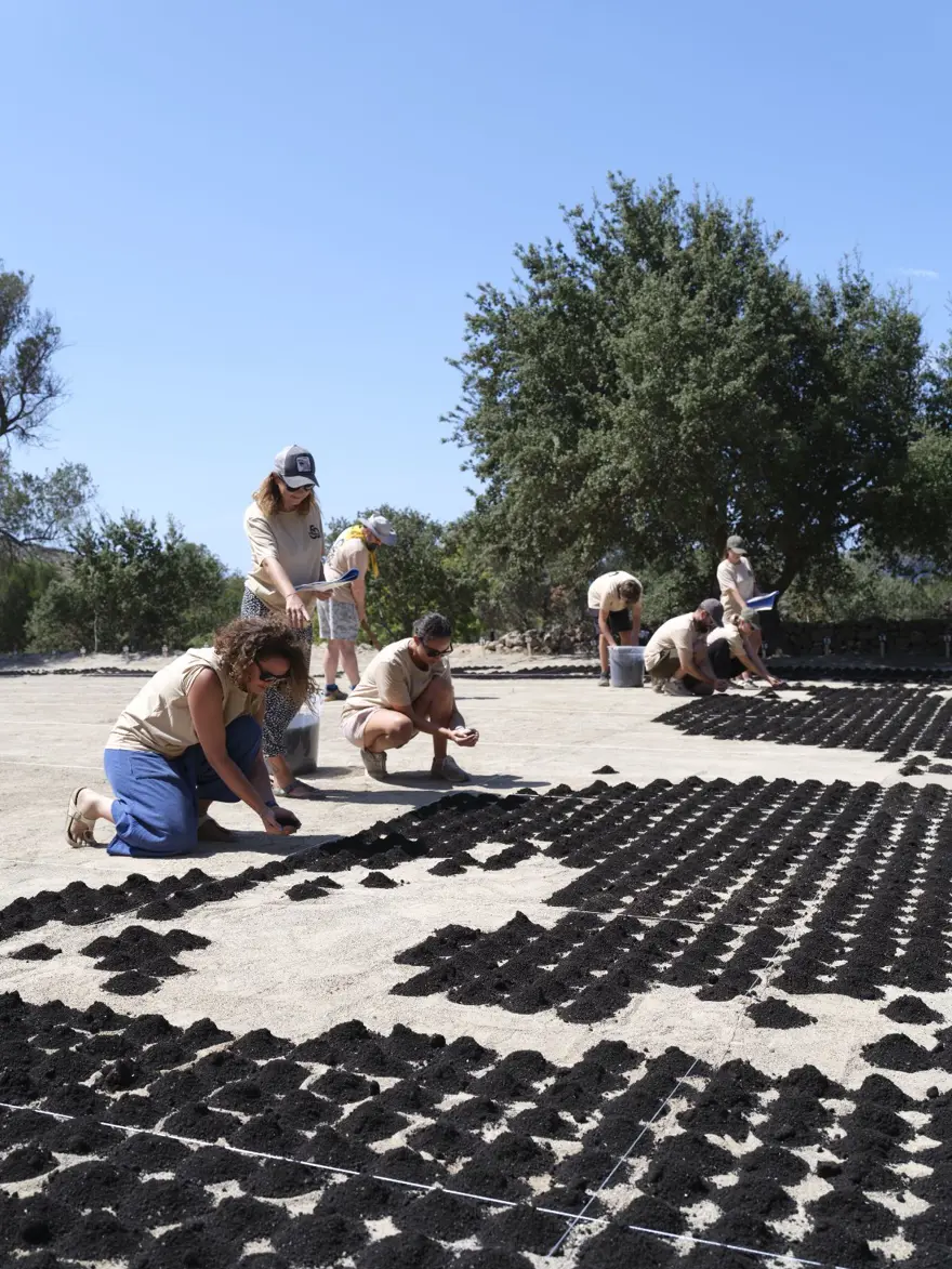 Aşık Veysel'in vefatının 50. yılında Bodrum'da dev portresi yapıldı 1