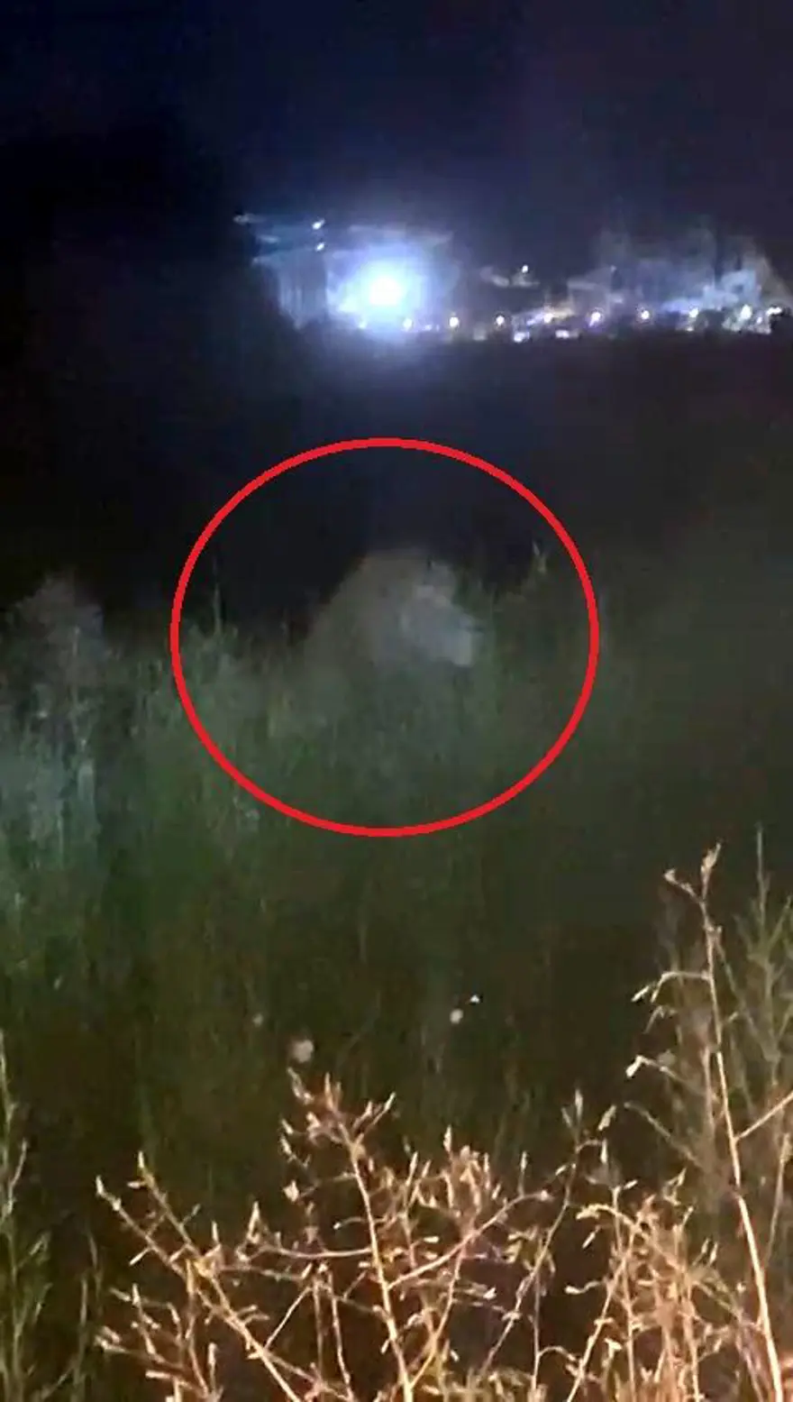 "ÖNCE KÖPEK SANDIM" 6