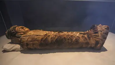 Antik Mısır’da "Kara Ölüm": 3 bin yıllık mumyada veba DNA’sı keşfedildi!