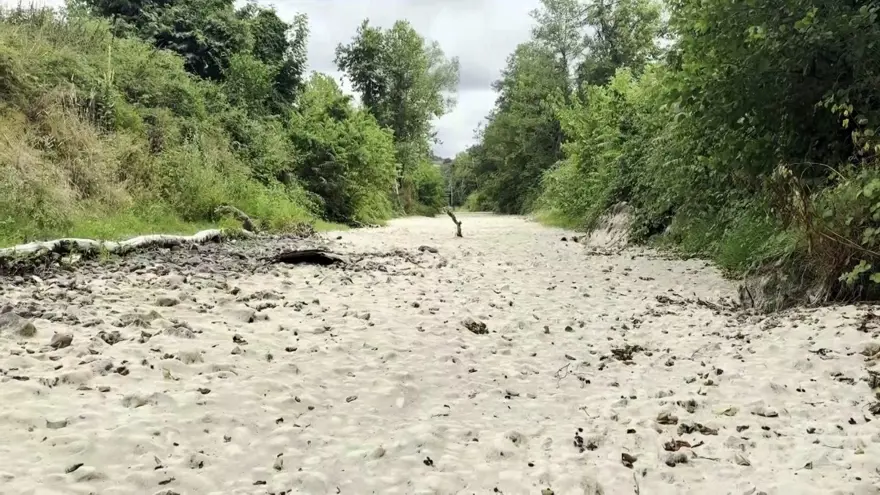 Sakarya’da korkutan manzara: Doğaseverlerin gözdesi kurudu 7