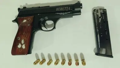 Bingöl'de silah operasyonu: Bir gözaltı