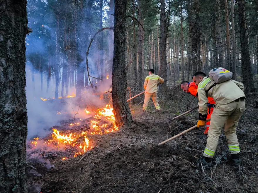 Ankara’daki yangın Bolu’ya sıçradı:Yangınla ilgili 1 kişi tutuklandı 6