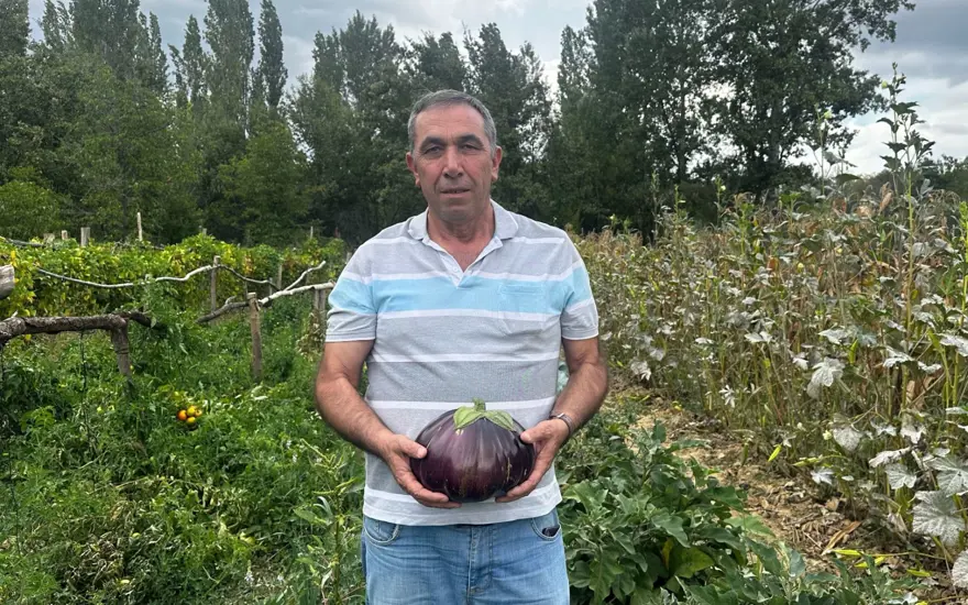 2 kilo 200 gramlık patlıcan görenleri şaşırttı! Hobi olarak ektiği bahçesinde yetişti 1