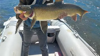 1 metre boyunda, 15 kilo: Oltasına takıldı