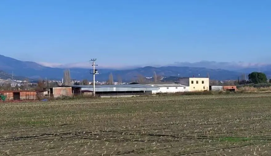 Balıkesir'deki suç şebekesi genç kızın ihbarıyla çökertildi 1