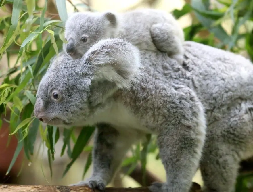 Hadi film ve dizi soruları 41 Hadi film ve dizi soruları 41