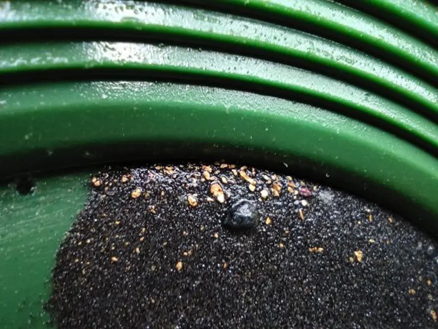 Derelerden altın toplayıp servet kazanıyorlar 1 Derelerden altın toplayıp servet kazanıyorlar 1