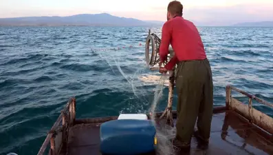 Av yasağı kalktı: Van Gölü'nde balıkçılar ‘vira bismillah’ deyip ağlarını suya bıraktı