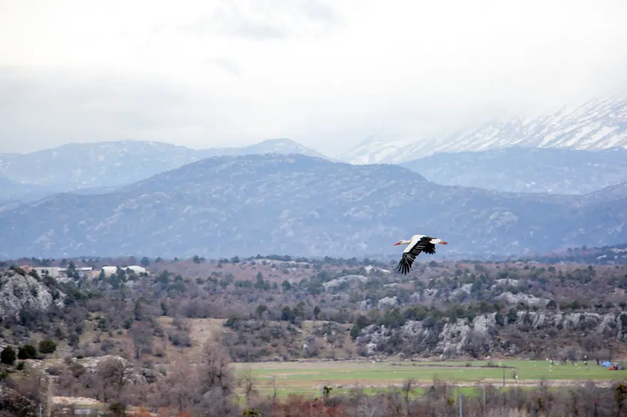 Leyleklere BBG evi 1 Leyleklere BBG evi 1