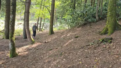 Bin 200 kilometre uzaktan gelip diktiği fidanlar orman oldu