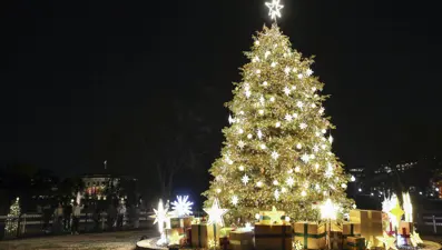 Washington'da Noel hazırlıkları