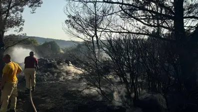 Ormanı yakan ateş mangaldan sıçramış! Bir kişi tutuklandı