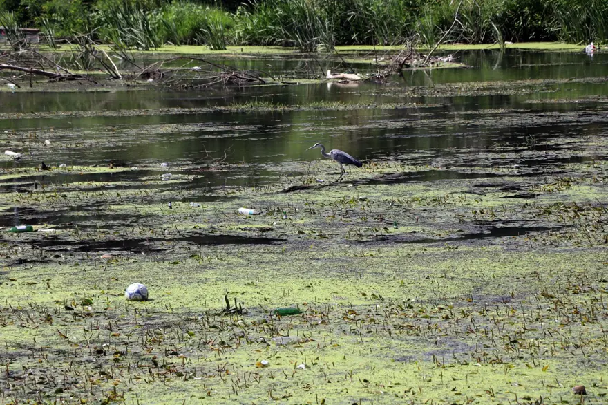 Tunca Nehri’nde debi düştü, çöpler ortaya çıktı 2 Tunca Nehri’nde debi düştü, çöpler ortaya çıktı 2