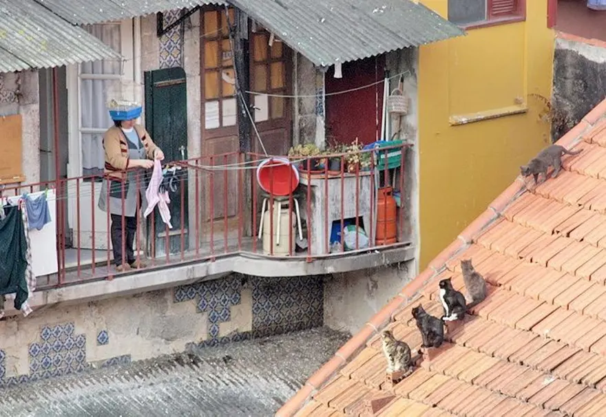 İnternetin yeni fenomenleri 30