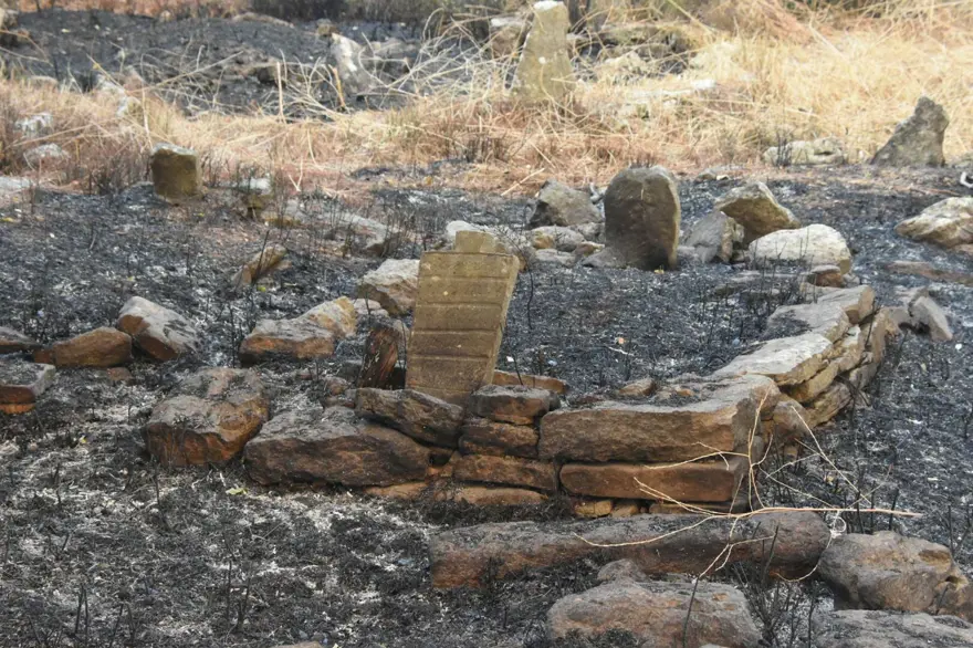 Çanakkale'de orman yangını kontrol altında 38