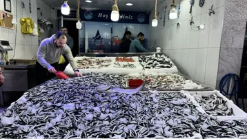 Sezon bereketli başladı: Kilosu 150 lira, 10 gündür tezgahtan eksik olmuyor