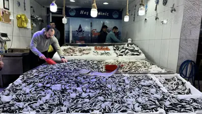 Sezon bereketli başladı: Kilosu 150 lira, 10 gündür tezgahtan eksik olmuyor
