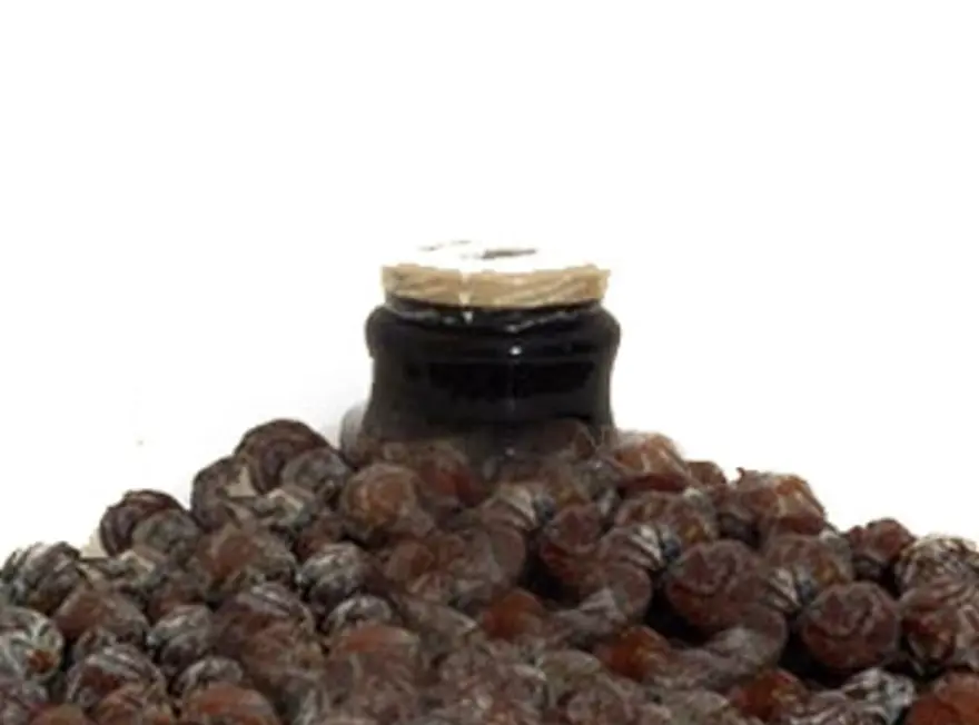 Kahramanmaraş'ın ''Andız'' pekmezi 4