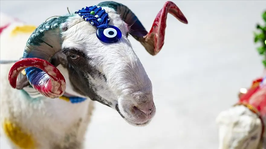 En çok beğeni alan bayram mesajları: Güzeller bayram günü süslenir, seninse bayramları süslüyor yüzün... 