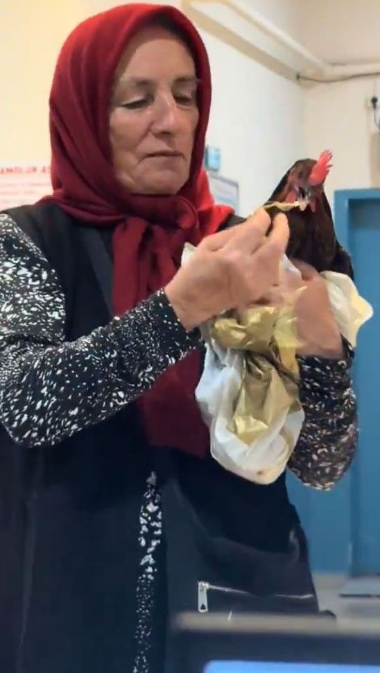 Hastanede 'tavuk' operasyonu