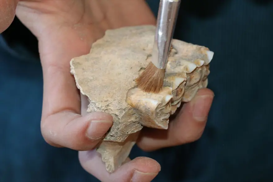 Tatarlı Höyük'te Orta Demir Çağ'a ait depolama alanı bulundu 9 Tatarlı Höyük'te Orta Demir Çağ'a ait depolama alanı bulundu 9