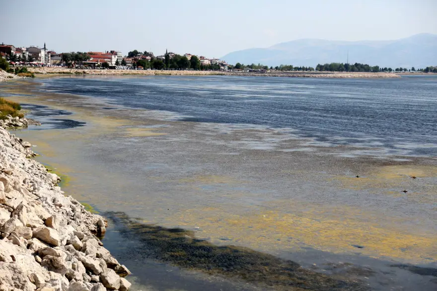 SU YÜZEYİNİ BATTANİYE GİBİ ÖRTÜYOR 4