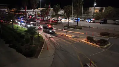 Adana'da Bayğaralar operasyonu: 106 şüpheli gözaltına alındı