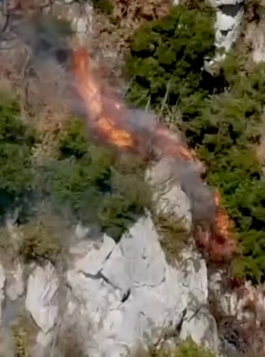 Küre Dağları Milli Parkı'ndaki yangın | Orman işçileri, alevlerden son anda kurtuldu 