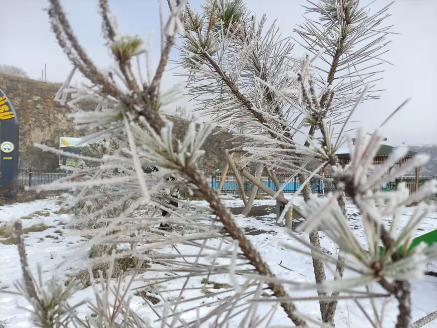 Sibirya değil Ardahan: Soğuktan araçlar çalışmadı 3
