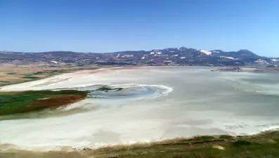 Kuraklık flamingoları da vurdu: Tek damla su bulamayınca terk ettiler