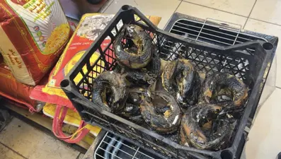 İstanbul’da mide bulandıran görüntü: Her yer çöp, yerler kan…Kokudan kimse yaklaşamıyor