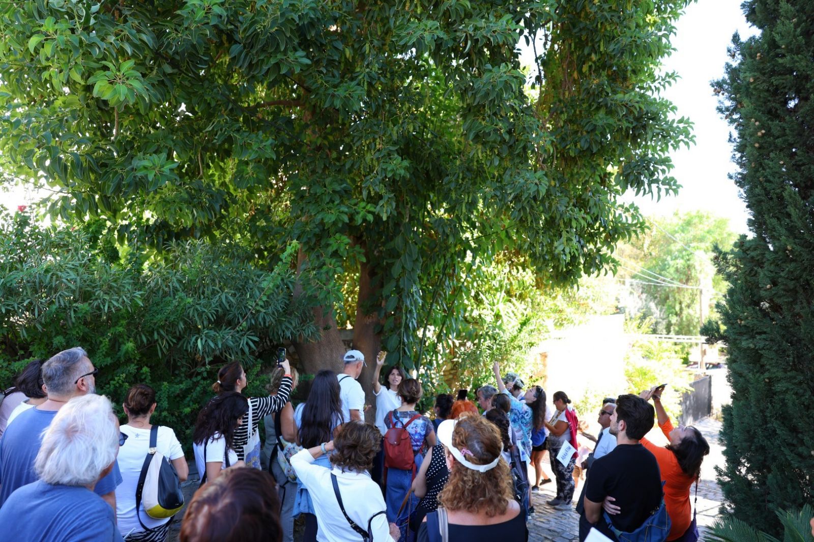 Halikarnas Balıkçısı Bodrum’da anıldı