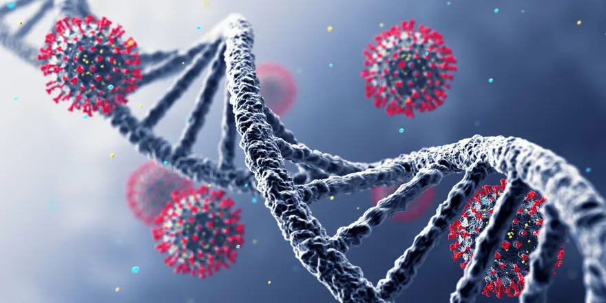 21 günde iki kez Covid-19'a yakalandı: Bilim insanlarından yeniden enfekte vakalarda artış uyarısı 7