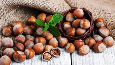 Fındık ve badem için aflatoksin uyarısı