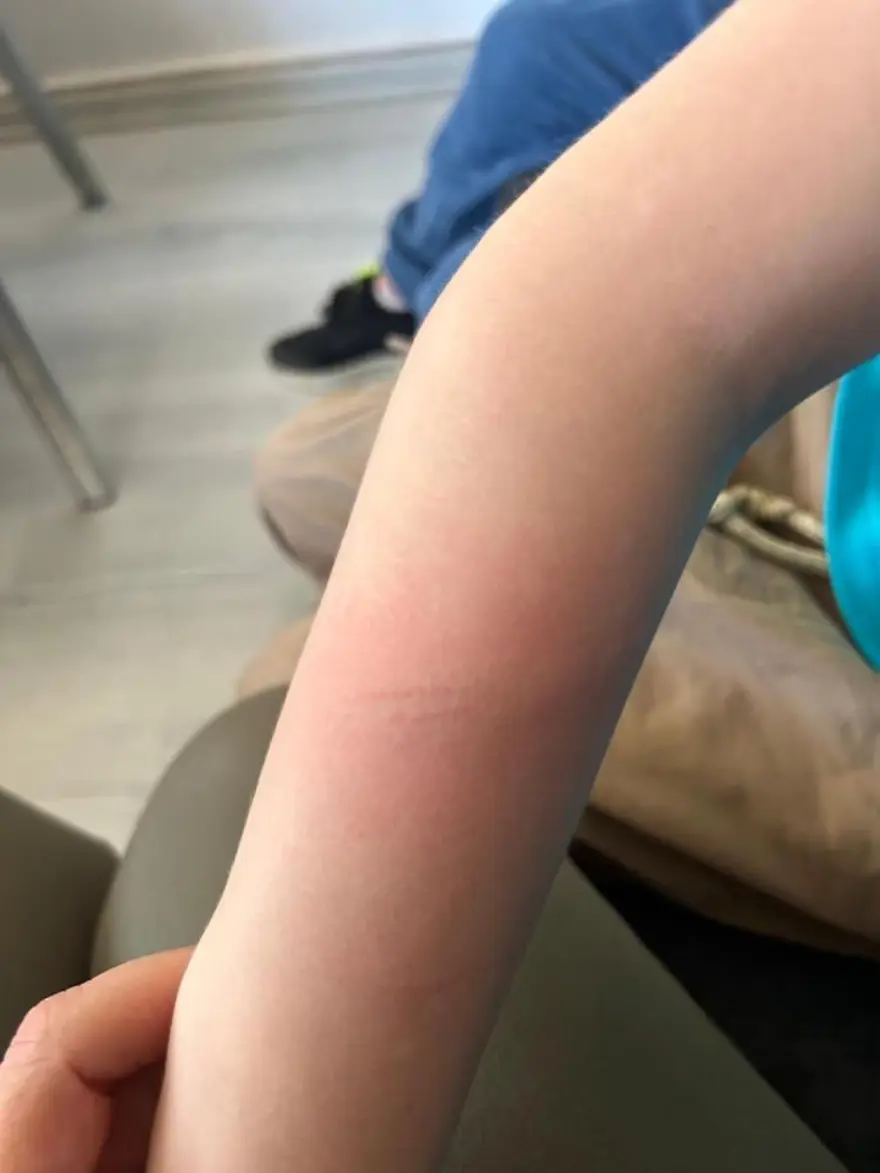 “ÇOCUĞUMUN CANINI NASIL ONLARA TESLİM EDECEĞİM?” 4