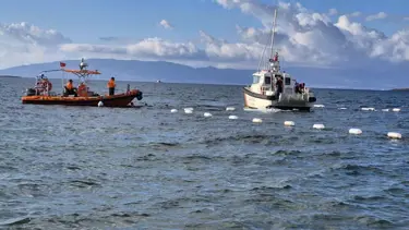 Bodrum'da göçmen faciası: 14 ölü
