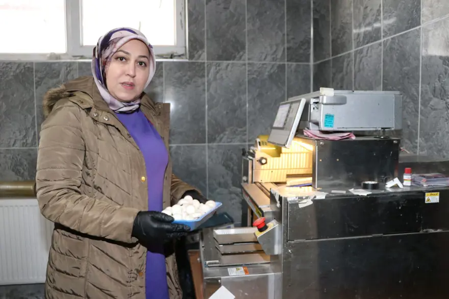 Devlet desteğiyle kurdu: 45 günde 70 ton üretiyor 