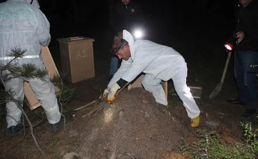 Gece yarısı kırmızı karınca operasyonu: Zararlı böcekleri yiyecek 5