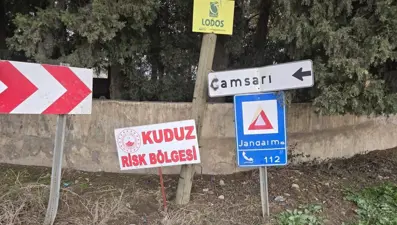 Hatay'da kuduz alarmı: Bir mahalle karantinaya alındı